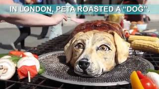 Londoners Were Offered Dog Meat – This Is How They Reacted [upl. by Adnovad365]