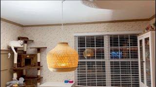 How to Assemble and Install IKEA Misterhult Bamboo Pendant Lamp [upl. by Berner]