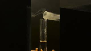 Whats the Deal with Acid Base Salts in Class 10 science scienceexperiment class10 [upl. by Frasch]