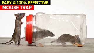 Best amp Easy Mouse Trap  DIY Mouse Trap  Rat Trap Homemade [upl. by Claudine893]