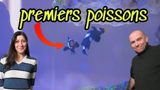 Les PREMIERS poissons Arrivent dans notre AQUARIUM [upl. by Annehs]