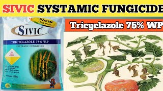 SIVIC SYSTAMIC FUNGICIDE  sivic fungicide  Tricyclazole 75 WP [upl. by Searcy847]