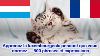 Apprenez le luxembourgeois pendant que vous dormez  300 phrases et expressions tous les niveaux [upl. by Fin]