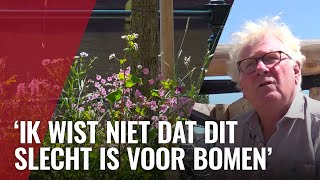 Door bewoners geplante bloemen moeten weg van gemeente [upl. by Oirelav]