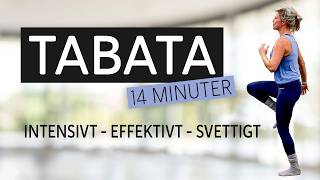 14 MINUTER TABATA HIT  snabbt effektivt och svettigt  utan redskap hemma [upl. by Tneciv]