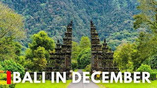 Discover Bali in December Beaches Temples and Festivals 🌴✨ BaliDecember travelguide2023 bali [upl. by Calvinna]