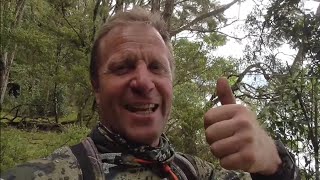 Lake Tarawera Hunt  Bush stalking [upl. by Innad]