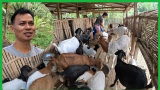 HINDI NA SILA MAGKASYA SA BAHAY NILABAKIT NAKATALI NA ANG AMING MGA ALAGANG ASO [upl. by Jaddan]