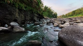 Relaxing River Sounds Beautiful Forest Scenery Tranquil White Noise for Relaxation for Sleep [upl. by Ancilin]