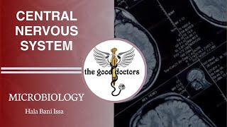 Lecture 2  Meningitis  P2  Microbiology CNS [upl. by Obe]