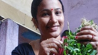 kalyani vlogs is live [upl. by Stewart]