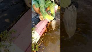 Rescuing Flooded Streets by Cleaning DebrisBlocked Drains [upl. by Ellerred]