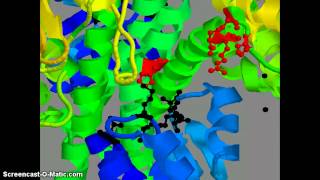 Histidine kinase response regulator complex [upl. by Jaine]