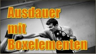 Ausdauertraining mit Boxelementen  Fitness zuhause und im Freien [upl. by Shepard]