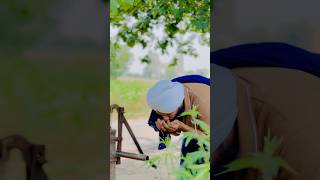 Pindan de jaye  bartaniavlogs punjabimusic kudrat punjabisong village shorts shortvideo [upl. by Endaira]