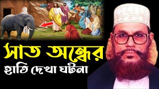 সাত অন্ধের হাতি দেখার ঘটনাআল্লামা দেলোয়ার হোসাইন সাঈদী ওয়াজDelowar Hussain sayeedi Bangla Waz [upl. by Hendry]