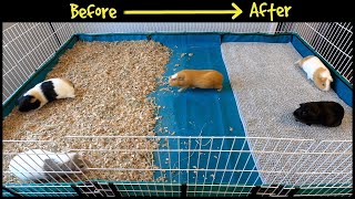 Guinea pig cage makeover  fleece bedding is back [upl. by Akimik222]