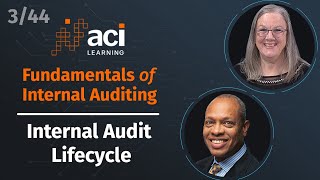 Internal Audit Lifecycle  Fundamentals of Internal Auditing  Part 3 of 44 [upl. by Wulf]