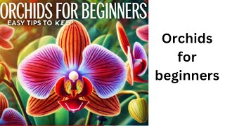 Orchids for Beginners  Easy Tips to Keep [upl. by Anrahs]