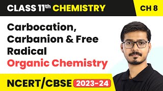 Carbocation Carbanion and Free Radical  Organic Chemistry  Class 11 Chemistry Chapter 8 [upl. by Laure]