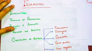 Prokaryotes Full Chapter Class 11Prokaryotes chapter SummaryClassification of Bacteria in hindi [upl. by Adleme960]