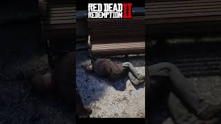 rdr2 rdr260fps rdrgameplay gaming arthurmorgan reddeadredemption [upl. by Frayda]