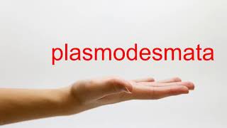 How to Pronounce plasmodesmata  American English [upl. by Madaih204]