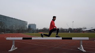 Training mit Abstand  Teil 61  Vielfältig am und mit Hindernisbalken trainieren  Teil I [upl. by Anoid547]