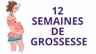 12 SEMAINES DE GROSSESSE OU Douzième semaine de grossesse [upl. by Eintruoc]