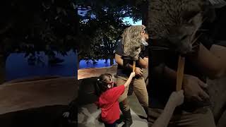 Kasih makan binturong di aquarium safari JKT vlog diaryoflife viralvideo jakartaaquarium [upl. by Acile118]