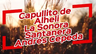 Capullito de alhelí Karaoke Sonora Santanera Andrés Cepeda [upl. by Nakasuji808]