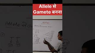 Allele से Gamete बननाvarl sorts NCERT physics Our study room Udayrajsir17 [upl. by Wellesley248]