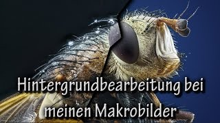 Hintergrundbearbeitung bei meinen Makrobilder [upl. by Gorrono]