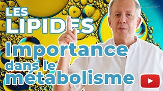 Importance des lipides dans le métabolisme │ Médecine AntiAge [upl. by Shannen]