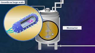 Recombinant DNA Technology  Animated Video [upl. by Aicetel]