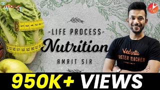 Nutrition Class 10  Life Processes Class 10 Science Biology  Mode of Nutrition NCERT Science Ch 6 [upl. by Kelwen]