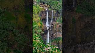 Beautiful Mahabaleshwar  🌳🍀🌿❤️😍 travel [upl. by Judas494]