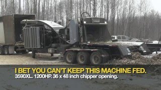 Bandit 3590XL Whole Tree Chipper Nelson Forest Products filling 50 Foot trailer in real time [upl. by Eberhard]