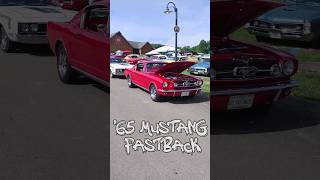 1965 Mustang Fastback [upl. by Aicatsanna364]