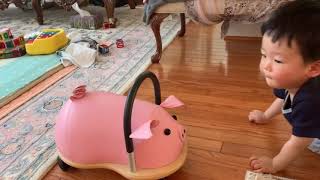 Aiden and his Wheely Bug Pig [upl. by Wilda]