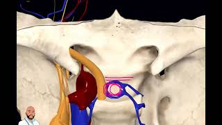 ANATOMÍA DEL HUESO ESFENOIDES 3D [upl. by Aramoj21]