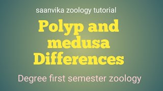 Polyp and medusa Differences Degree first semestersaanvikazoologytutorial [upl. by Huttan794]