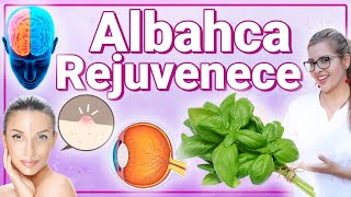 Albahaca Para Todo  Para Qué Sirve  Beneficios Para Tu Salud Y Belleza [upl. by Nnaj]