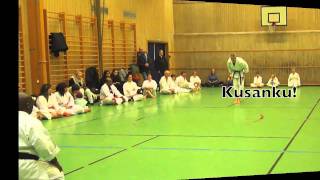 NESODDEN KARATE KLUBB senior gradings Dec 08 2010 1 Daniel The Second Kata [upl. by Favianus]