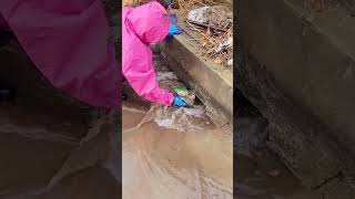 Massive Flooding Drain Removing Debris Stuck In Drain drainpipes viral shortvideo viralvideo [upl. by Rashida]