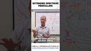 Extended Spectrum Penicillins drnajeeb drnajeeblectures shortvideostatus [upl. by Sidras]