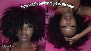 UPDATED HOW I MOISTURIZE MY HIGH POROSITY HAIR type 4💗 [upl. by Nedearb]