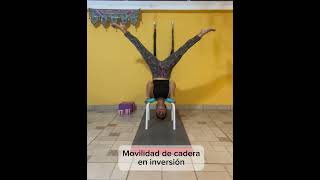 Biomecánica aplicada al yoga 🧘‍♀️ curso online biomecánica cursosholisticos [upl. by Wolf873]