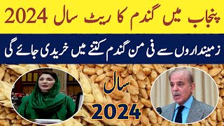 wheat support price in punjab pakistan 2024 [upl. by Alano]