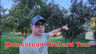 Branching Out Maintenance and Development of Homestead Orchards and Woodlots [upl. by Uolymme]